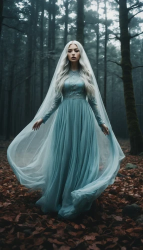ballerina in the woods,the snow queen,blue enchantress,girl in a long dress,fairy tale character,fairy queen,faerie,mystical portrait of a girl,celtic woman,faery,cinderella,fantasy woman,fairytale characters,fairy tales,dead bride,a fairy tale,fantasy picture,ice queen,the enchantress,fairy tale,Photography,Artistic Photography,Artistic Photography 12
