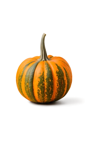 calabaza,decorative pumpkins,decorative squashes,winter squash,cucurbita,figleaf gourd,ornamental gourds,cucurbit,gem squash,scarlet gourd,gourd,striped pumpkins,cucuzza squash,gourds,pumkin,candy pumpkin,pumpkin autumn,halloween pumpkin,autumn pumpkins,hokkaido pumpkin,Art,Artistic Painting,Artistic Painting 47