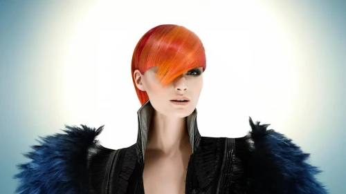 fashion illustration,feather headdress,mohawk hairstyle,asymmetric cut,headdress,feathered hair,artificial hair integrations,headpiece,image manipulation,red-haired,pixie-bob,fashion vector,bouffant,transistor,fashion design,mohawk,tilda,photomanipulation,pompadour,plumage