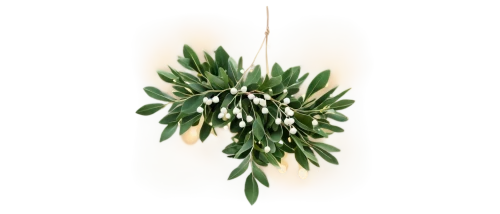 fir tree decorations,star-of-bethlehem,cherry laurel,pennant garland,hanging plant,hanging decoration,ornithogalum,star of bethlehem,mistletoe berries,gold foil laurel,garden star of bethlehem,holly wreath,flowers png,luminous garland,christmas garland,laurel wreath,vintage anise green background,tarragon,curry leaves,christmas tassel bunting,Illustration,Abstract Fantasy,Abstract Fantasy 09