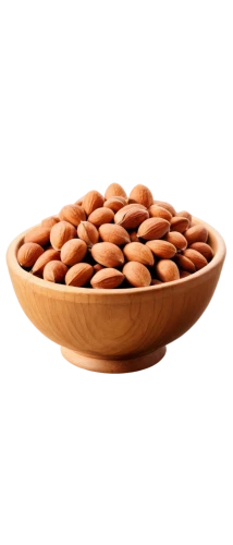 almond nuts,unshelled almonds,pine nuts,indian almond,argan,roasted almonds,almonds,pine nut,argan tree,salted almonds,kidney beans,almond oil,almond meal,almond,argan trees,bowl of chestnuts,mixed nuts,brazil nut,legume,baked beans,Photography,Fashion Photography,Fashion Photography 05