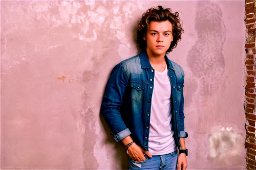 harry styles,harry,styles,harold,edit icon,denim background,jeans background,photo session in torn clothes,pink background,brick wall background,photo shoot with edit,antique background,blue jeans,color background,concrete background,image editing,photographic background,quiff,portrait background,chasm,Photography,Documentary Photography,Documentary Photography 03