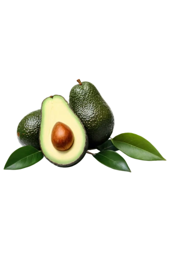 avacado,avo,avocado,avocados,avocado salad,sliced avocado,guacamole,cocos nucifera,mangifera,rock pear,kaki fruit,starfruit,poblano,persian lime,feijoa,rabihorcado,fruit,buñuelo,peperoncini,aaa,Photography,Fashion Photography,Fashion Photography 15