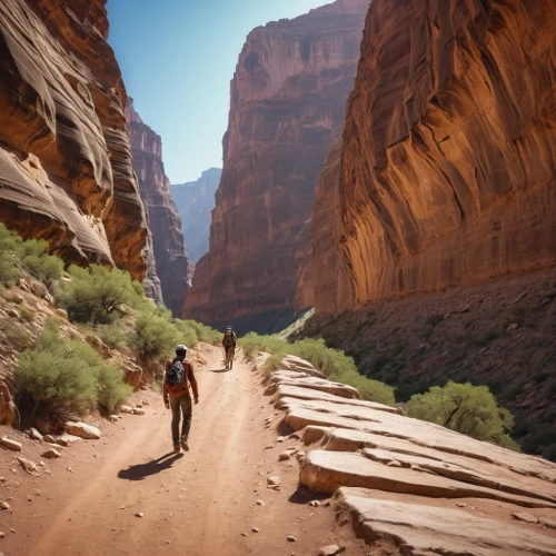 bright angel trail,red canyon tunnel,angel's landing,fairyland canyon,street canyon,guards of the canyon,slot canyon,canyon,al siq canyon,cliff dwelling,antel rope canyon,zion national park,zion,red rock canyon,narrows,moon valley,united states national park,wadirum,grand canyon,glen canyon,Photography,General,Realistic