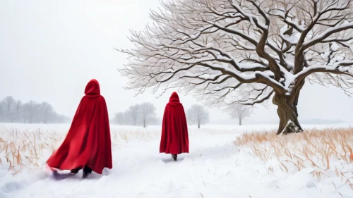 red riding hood,red coat,red cape,little red riding hood,man in red dress,red gown,hooded man,scythe,santons,suit of the snow maiden,red tablecloth,the snow queen,dance of death,lady in red,cloak,monks,hooded,conceptual photography,snow scene,red,Illustration,Realistic Fantasy,Realistic Fantasy 33