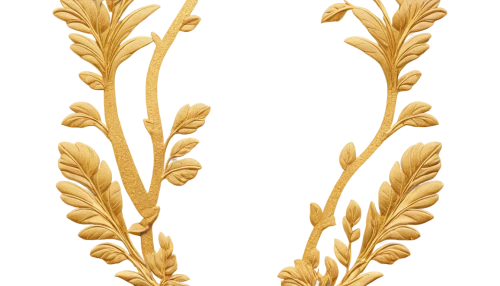 spikelets,strand of wheat,wheat ear,grass fronds,flowers png,wheat ears,art deco ornament,triticum durum,gold leaves,laurel wreath,floral ornament,elymus repens,durum wheat,wheat crops,gold foil laurel,strands of wheat,ornamental grass,dried grass,golden wreath,panicle,Photography,Documentary Photography,Documentary Photography 37