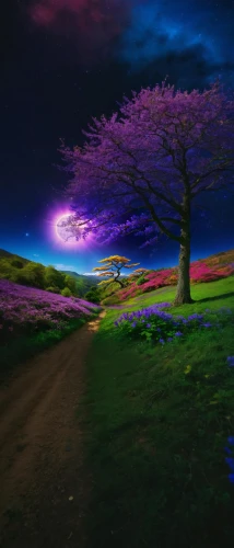 purple landscape,lone tree,blossom tree,landscape background,cherry blossom tree,lilac tree,colorful tree of life,isolated tree,cherry tree,colorful light,background colorful,blooming field,springtime background,cherry trees,japanese cherry trees,beautiful landscape,blooming tree,splendid colors,spring background,nature landscape