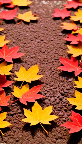 autumn leaf paper,reddish autumn leaves,fall leaf border,fall leaves,colored leaves,red leaves,autumn leaves,leaf background,autumn pattern,fallen leaves,colorful leaves,maple leave,autumnal leaves,leaves in the autumn,fall leaf,autumn background,maple leaf red,autumn leaf,red leaf,glitter leaves,Unique,Paper Cuts,Paper Cuts 03