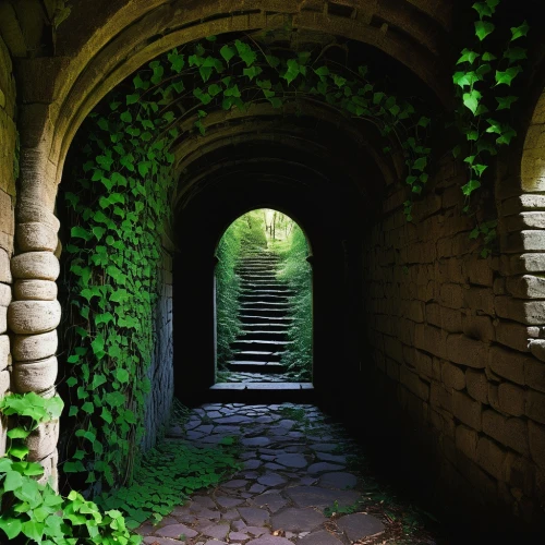 winding steps,pathway,plant tunnel,stone stairway,stone stairs,tunnel of plants,entry path,the mystical path,archway,hollow way,walkway,wall tunnel,passage,vaulted cellar,stairway,arches,the path,tunnel,gordon's steps,corridor,Illustration,Japanese style,Japanese Style 21
