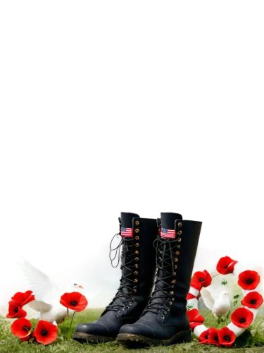 remembrance day,anzac day,lest we forget,remembrance,unknown soldier,anzac,veterans,veterans day,armed forces day,veteran's day,commemoration,anemone honorine jobert,commemorate,women's boots,red anemones,red poppies,war veteran,war graves,veteran,seidenmohn,Illustration,Japanese style,Japanese Style 16