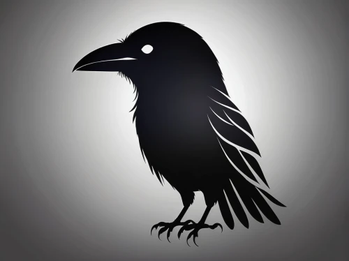 raven rook,corvus,corvidae,carrion crow,3d crow,crows bird,crow-like bird,black raven,raven bird,black crow,ravens,corvus corax,new caledonian crow,common raven,american crow,bird illustration,corvid,crow,bird png,corvus corone,Conceptual Art,Daily,Daily 01