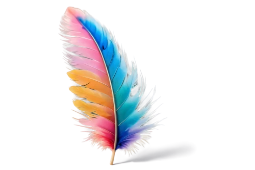 feather headdress,color feathers,feather,feather jewelry,chicken feather,feather pen,bird feather,pigeon feather,white feather,parrot feathers,peacock feather,feathers,hawk feather,pink quill,feathers bird,prince of wales feathers,swan feather,feather on water,feather bristle grass,peacock feathers,Unique,3D,Panoramic