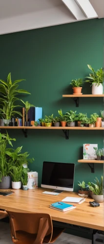 green living,blur office background,house plants,green plants,wooden shelf,dark green plant,working space,modern decor,houseplant,tropical greens,creative office,plate shelf,landscape designers sydney,bamboo plants,office desk,wooden desk,hanging plants,money plant,search interior solutions,green wallpaper,Conceptual Art,Graffiti Art,Graffiti Art 06