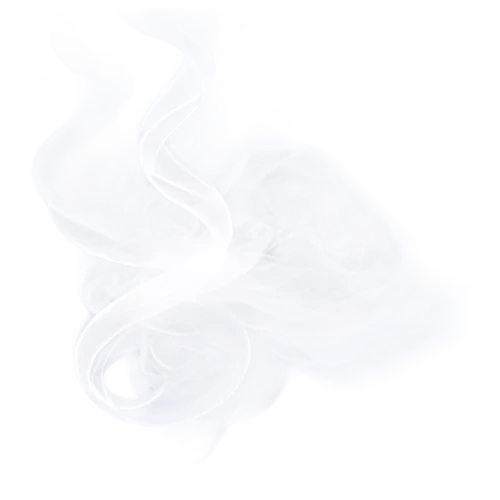 flowers png,abstract smoke,white silk,breathing mask,veil fog,white floral background,polypropylene bags,alpino-oriented milk helmling,smoke background,whitespace,banner,mist,blotting paper,apophysis,on a white background,ring fog,box jellyfish,emission fog,cellophane noodles,cotton swab,Conceptual Art,Graffiti Art,Graffiti Art 03