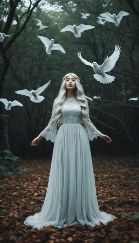 ballerina in the woods,faerie,doves of peace,dove of peace,faery,mystical portrait of a girl,fairy tale,fairy tale character,a fairy tale,white bird,fairy tales,fairy queen,children's fairy tale,child fairy,fairy peacock,white dove,conceptual photography,fantasy picture,the angel with the veronica veil,fairytales,Photography,Artistic Photography,Artistic Photography 12
