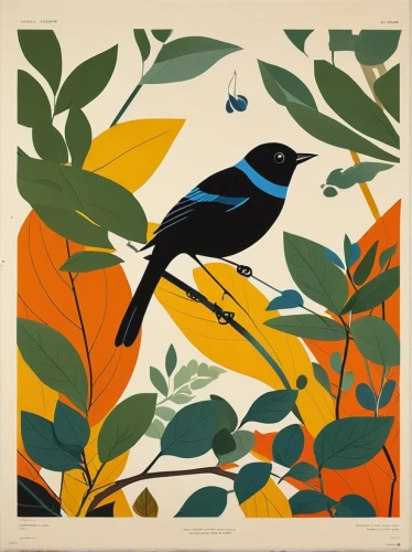 tanager,bananaquit,old world oriole,fairywren,blackburnian warbler,bird illustration,indigo bunting,tickell's blue flycatcher,flower and bird illustration,magpie,tropical bird climber,bird painting,brewer's blackbird,white-winged widowbird,oriole,magnolia warbler,blue wren,grosbeak,baltimore oriole,bird on branch,Illustration,Vector,Vector 13