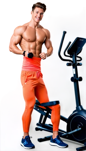 bodybuilding supplement,exercise equipment,personal trainer,fitness coach,bodybuilding,workout equipment,buy crazy bulk,fitness model,fitness professional,biceps curl,basic pump,fitness and figure competition,dumbbells,elliptical trainer,body-building,body building,bodypump,workout items,anabolic,squat position,Illustration,Japanese style,Japanese Style 01