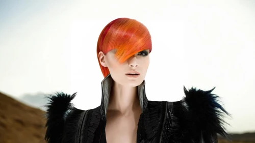 feather headdress,asymmetric cut,feathered hair,mohawk hairstyle,artificial hair integrations,headdress,fashion illustration,headpiece,pixie-bob,plumage,fashion design,management of hair loss,image manipulation,the hat-female,conical hat,hairdressing,hair shear,red-haired,feathered,surrealistic