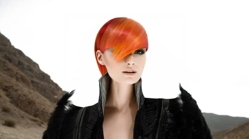 mohawk hairstyle,asymmetric cut,feather headdress,feathered hair,artificial hair integrations,mohawk,hair shear,pixie-bob,headdress,headpiece,darth talon,photomontage,sphinx pinastri,image manipulation,red-haired,conical hat,fractalius,hairdressing,hairstyler,photomanipulation