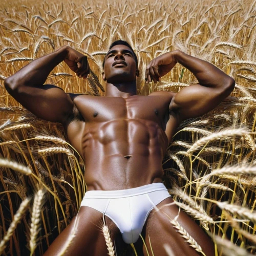 milk chocolate,bed in the cornfield,wheat field,brown chocolate,african american male,straw field,adonis,gardener,male model,jordan fields,wheat fields,broncefigur,wheat crops,furrow,stubble field,cornfield,black male,corn field,damme,agriculture,Photography,Documentary Photography,Documentary Photography 15