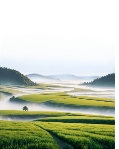 foggy landscape,rice fields,ricefield,yamada's rice fields,rice field,landscape background,japan landscape,the rice field,guizhou,yunnan,shaanxi province,rice paddies,south korea,green landscape,hokkaido,landscape photography,qinghai,rice terrace,green fields,rural landscape,Illustration,Realistic Fantasy,Realistic Fantasy 44