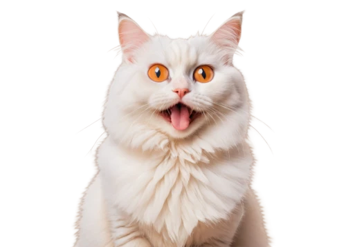 cat vector,turkish van,turkish angora,funny cat,cat image,cat,cat tongue,white cat,japanese bobtail,cute cat,birman,emogi,meowing,cartoon cat,cat portrait,american curl,transparent background,mow,breed cat,löwchen,Conceptual Art,Fantasy,Fantasy 04