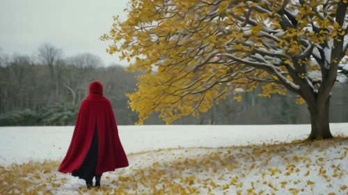 red coat,red riding hood,red cape,little red riding hood,man in red dress,cloak,hooded man,long coat,woman walking,red tree,overcoat,girl walking away,digital compositing,red gown,caped,the wanderer,lady in red,landscape red,scarlet witch,girl with tree,Photography,General,Cinematic