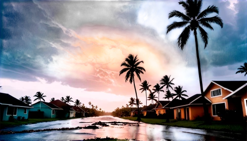 coconut trees,coconut tree,hurricane irma,kerala,coconut palms,monsoon,tropical cyclone,tropical house,south pacific,samoa,world digital painting,palmtrees,photomanipulation,watercolor palm trees,monsoon banner,landscape background,palms,photo manipulation,coconut palm tree,palm tree,Illustration,Black and White,Black and White 31