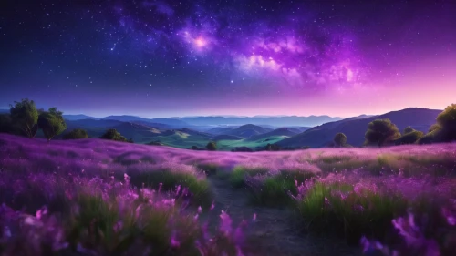 purple landscape,purple wallpaper,fairy galaxy,lavender field,purple,lavender fields,wall,landscape background,fantasy landscape,full hd wallpaper,beautiful landscape,cosmos field,lavenders,fantasy picture,lavander,background colorful,light purple,landscapes beautiful,milky way,lavender,Photography,General,Commercial