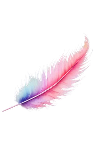 feather,color feathers,pink quill,feather pen,bird feather,feather on water,pigeon feather,feathers,swan feather,chicken feather,peacock feather,parrot feathers,feathers bird,feather jewelry,white feather,rainbow pencil background,feather carnation,hawk feather,feathery,feather headdress,Photography,Artistic Photography,Artistic Photography 12