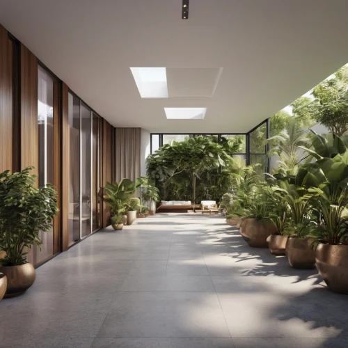 landscape designers sydney,landscape design sydney,garden design sydney,daylighting,tropical house,3d rendering,winter garden,house plants,hallway space,exotic plants,ficus,corten steel,walkway,mid century house,roof garden,bamboo plants,potted plants,courtyard,houseplant,mid century modern