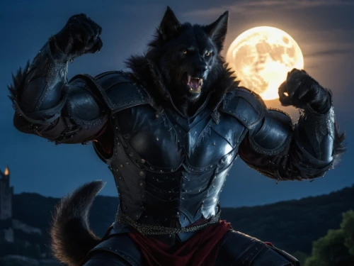 werewolf,werewolves,full moon,super moon,howling wolf,big moon,blood moon,wolf,wolfman,full moon day,howl,blood moon eclipse,wolfdog,dusk background,moonlit night,constellation wolf,moonlit,furta,moonlight,moon night,Photography,General,Realistic