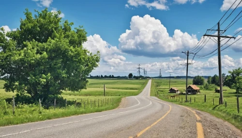 country road,rural landscape,rural,fork road,winding roads,road,aaa,roads,telephone poles,empty road,the road,powerlines,dirt road,rural area,roadside,landscape background,overhead power line,tree lined lane,cross-country cycling,open road,Photography,General,Realistic