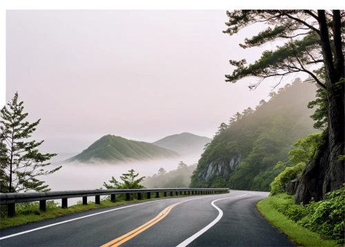 mountain road,aaa,mountain highway,foggy landscape,winding roads,aa,coastal road,the road,winding road,long road,road,roads,open road,united states national park,country road,steep mountain pass,pacific coast highway,road to nowhere,vancouver island,landscape background,Illustration,Japanese style,Japanese Style 15