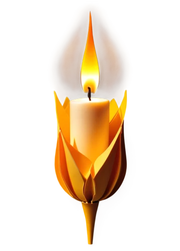 flame flower,votive candle,lotus png,unity candle,flameless candle,the eternal flame,burning candle,lighted candle,fire flower,spray candle,olympic flame,votive candles,light a candle,wax candle,candle,a candle,flaming torch,candle flame,rss icon,beeswax candle,Unique,Paper Cuts,Paper Cuts 03