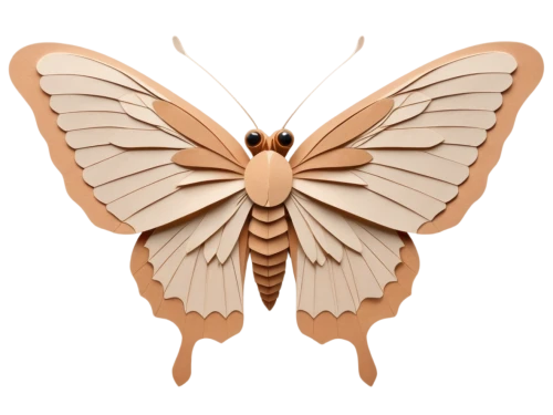 butterfly vector,butterfly clip art,bombyliidae,hesperia (butterfly),chelydridae,polyphemus moth,vanessa (butterfly),euphydryas,promethea silkmoth,io moth,cupido (butterfly),bombycidae,melanargia,cyprinidae,viceroy (butterfly),regal moth,lepidopterist,elapidae,brush-footed butterfly,lepidoptera,Unique,Paper Cuts,Paper Cuts 03