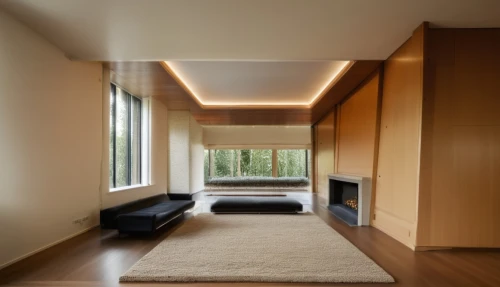 interior modern design,contemporary decor,modern room,japanese-style room,hallway space,home interior,recessed,archidaily,laminated wood,hardwood floors,modern decor,livingroom,room divider,wood floor,fire place,daylighting,modern living room,wood flooring,under-cabinet lighting,sliding door,Photography,General,Realistic