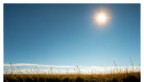 solar field,sun,sunburst background,photovoltaics,sunstar,bright sun,aaa,photosynthesis,solar farm,solar energy,solar photovoltaic,photovoltaic,solar power,helianthus sunbelievable,straw field,polycrystalline,cloudless,meteorological phenomenon,3-fold sun,solar,Conceptual Art,Fantasy,Fantasy 12