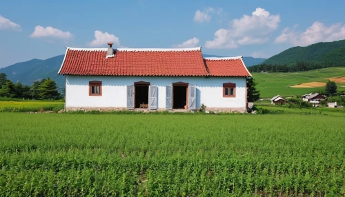traditional house,grass roof,farm house,home landscape,small house,frisian house,farm hut,organic farm,korean folk village,rice cultivation,little house,straw roofing,rural landscape,country house,danish house,rural style,house in mountains,farm background,farmhouse,country cottage,Photography,General,Realistic