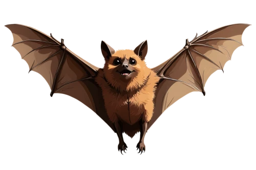 little red flying fox,fruit bat,big brown bat,bat,flying fox,hanging bat,tropical bat,vampire bat,megabat,bat smiley,flying dog,bats,lantern bat,papillon,schipperke,dog illustration,belgian shepherd malinois,mouse eared bat,belgian shepherd,finnish spitz,Art,Artistic Painting,Artistic Painting 43