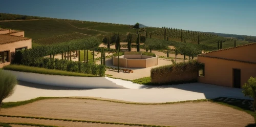 vineyards,olive grove,tuscan,wine-growing area,roman villa,vineyard,3d rendering,tuscany,wine region,wine growing,winery,render,virtual landscape,viticulture,aventine hill,3d rendered,winegrowing,hacienda,terraces,3d render,Photography,General,Natural