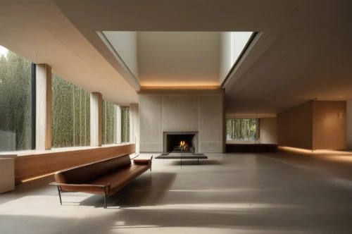interior modern design,corten steel,fireplaces,fire place,archidaily,fireplace,concrete ceiling,interiors,daylighting,interior design,mid century house,luxury home interior,modern living room,dunes house,modern room,exposed concrete,mid century modern,home interior,contemporary decor,hallway space,Photography,General,Realistic