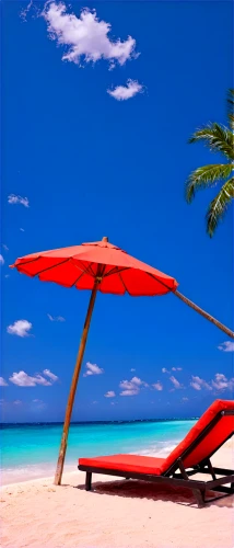 umbrella beach,summer beach umbrellas,beach furniture,caribbean beach,beach umbrella,sunlounger,dream beach,beach chair,deckchair,cuba beach,beach chairs,deckchairs,tropical beach,paradise beach,beach landscape,deck chair,caribbean,white sand beach,beautiful beach,beach scenery,Photography,Documentary Photography,Documentary Photography 38