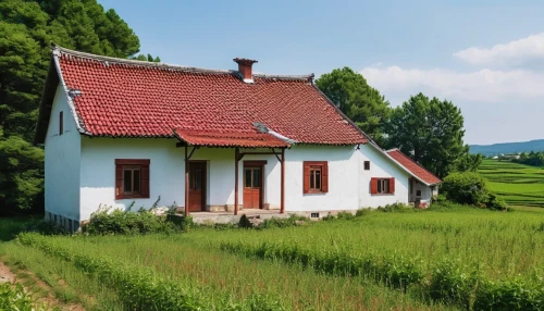 home landscape,traditional house,danish house,farm house,country cottage,small house,house in mountains,lonely house,little house,house insurance,country house,old house,grass roof,farmhouse,rural landscape,crispy house,house in the mountains,beautiful home,romania,miniature house,Photography,General,Realistic