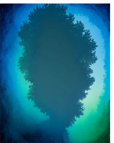 gradient blue green paper,circle around tree,blue painting,mandelbrodt,watercolor pine tree,fir tree silhouette,blue spruce,tree silhouette,watercolor tree,flourishing tree,tree thoughtless,isolated tree,tree canopy,painted tree,blue leaf frame,panoramical,circle paint,northernlight,evergreen trees,cardstock tree,Conceptual Art,Daily,Daily 08
