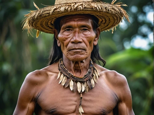 tribal chief,pachamama,papuan,anmatjere man,asian conical hat,nomadic people,aborigine,ancient people,primitive people,borneo,vendor,shaman,paraguayian guarani,tambora,pachamanca,male person,war bonnet,man portraits,male model,harau,Photography,General,Realistic