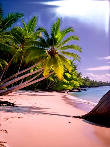 tropical beach,beach landscape,coconut trees,deserted island,coconut palms,coconut tree,cook islands,caribbean beach,coconuts on the beach,tropical island,caribbean,beach scenery,tropical sea,beautiful beaches,coconut palm tree,dream beach,beautiful beach,brazilian beach,coconut palm,seychelles,Photography,Artistic Photography,Artistic Photography 04