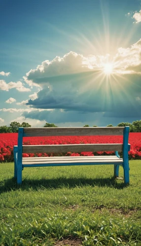 red bench,bench,outdoor bench,park bench,garden bench,yellow rose on red bench,wooden bench,bench by the sea,benches,chair in field,stone bench,man on a bench,wood bench,bench chair,aaa,picnic table,landscape background,red tablecloth,school benches,poppy field,Conceptual Art,Sci-Fi,Sci-Fi 19
