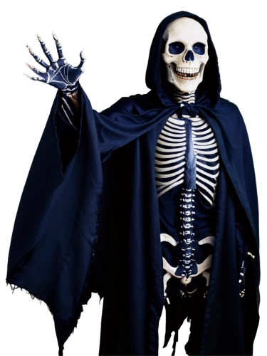 skeleltt,skeletal,skeleton,human skeleton,calcium,vintage skeleton,skeleton hand,skeletons,day of the dead skeleton,danse macabre,bone,aaa,skeletal structure,skull bones,die,dance of death,png image,grim reaper,vanitas,haloween,Illustration,Vector,Vector 04