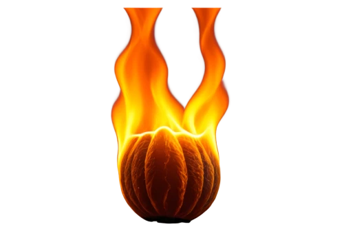 flaming torch,roasted chestnut,calabaza,molten,flaming sambuca,burning torch,gem squash,bottle fiery,salt lamp,torch tip,scarlet gourd,fire background,fiambre,inflammable,incandescent lamp,magma,banana flower,lava,fire logo,tree torch,Art,Classical Oil Painting,Classical Oil Painting 07